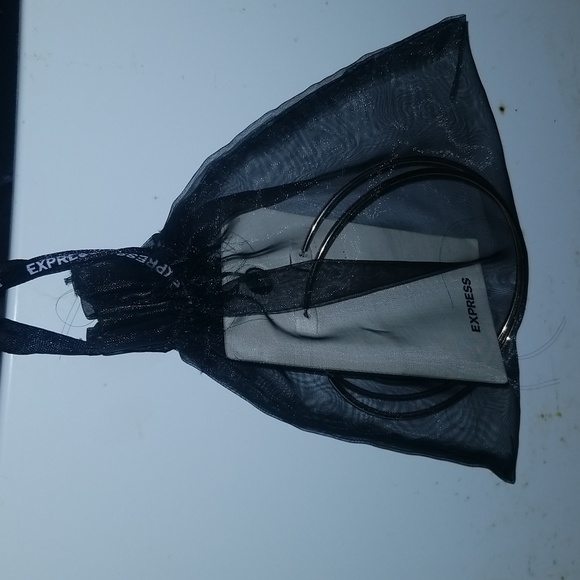 Express, Rose Gold, 3" Diameter Hoop Earrings - Picture 4 of 5